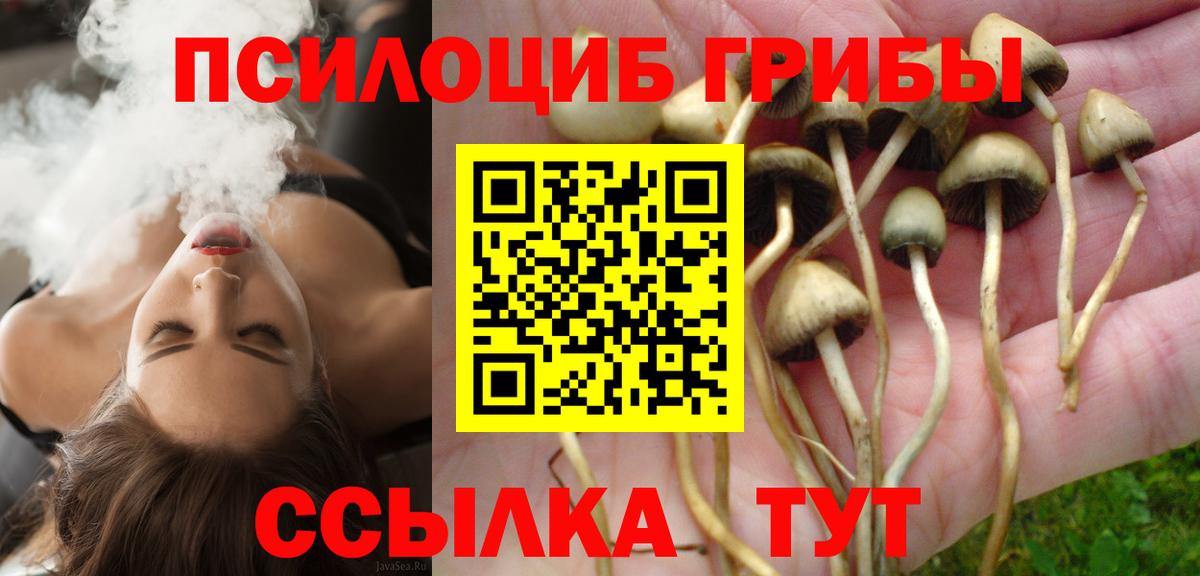 Сочи  Галлюциногенные грибы Magic Shrooms  Галлюциногенные грибы Psilocybine cubensis  Вход с VPN 