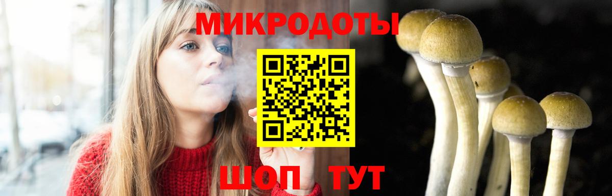 Галлюциногенные грибы GOLDEN TEACHER Сочи