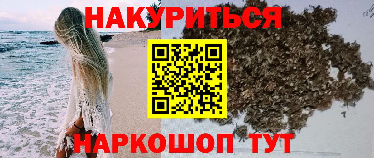 Канабис OG Kush Сочи